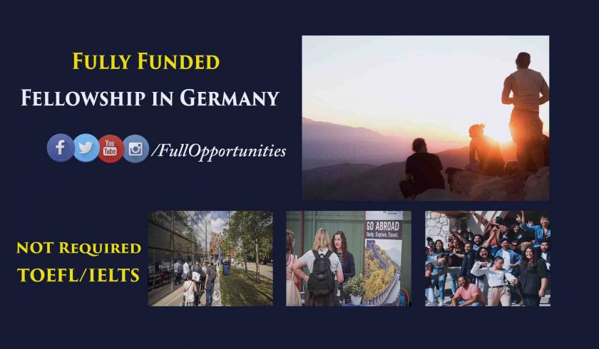 Einstein Fellowship in Germany