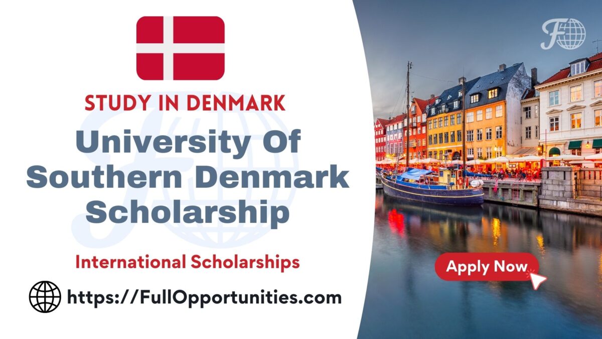 University Of Southern Denmark Scholarship