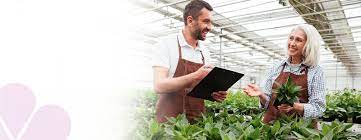 Fruitful Jobs UK seasonal Work Visa 2023